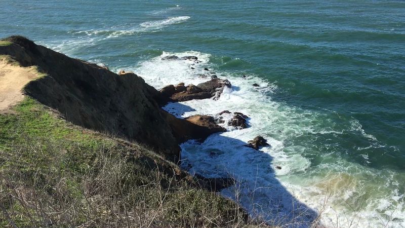 A Bluff-Top Setting Above The Pacific