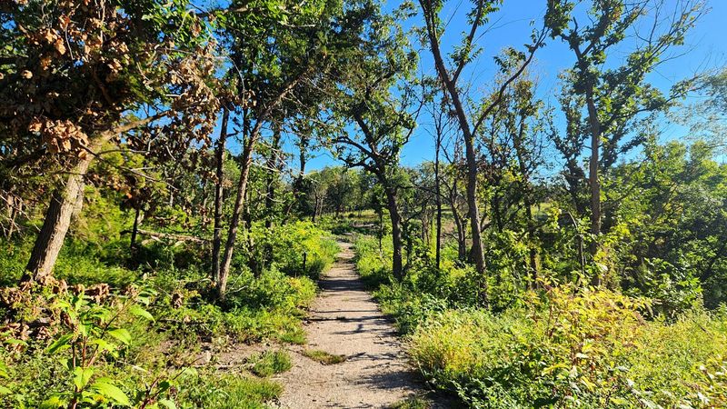 This Underrated Nebraska Park Packs Forest Trails, Wildlife And An Impressive Aquarium Into One Easy Escape - Decor Hint Explore Miles Of Wooded Hiking Trails