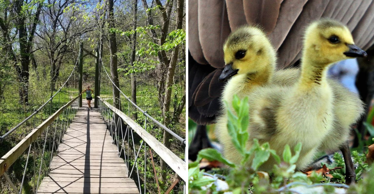This Underrated Nebraska Park Packs Forest Trails Wildlife And An Impressive Aquarium Into One Easy Escape - Decor Hint