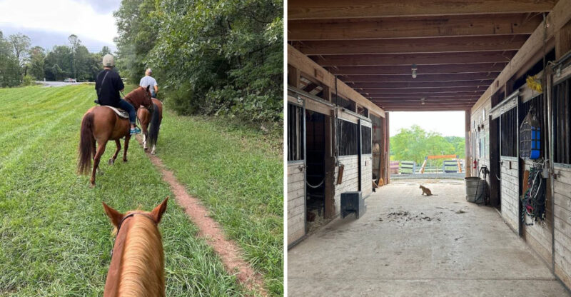 This West Virginia Horse Farm Offers A One-Of-A-Kind Outdoor Adventure
