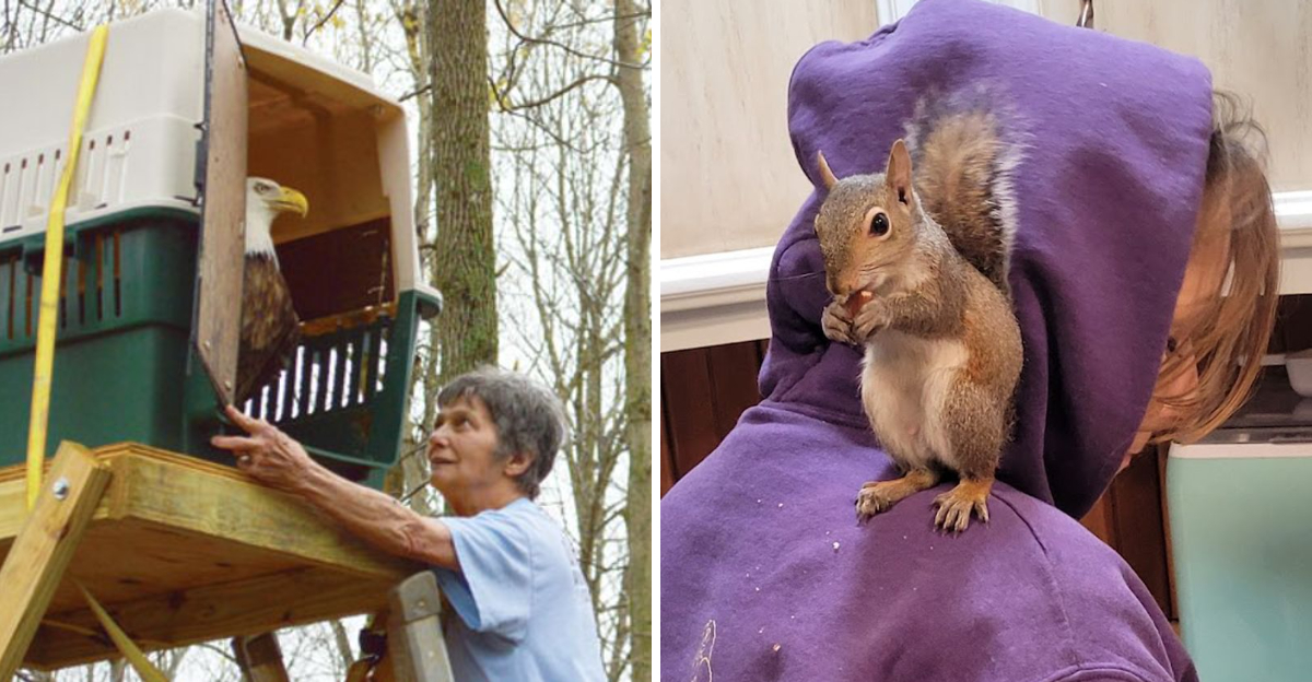 This Wildlife Rescue In Kentucky Lets You See Animals Up Close - Decor Hint