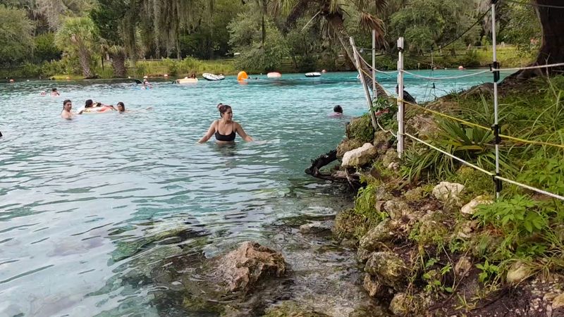 Silver Glen Springs, Ocala National Forest