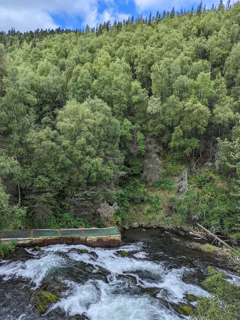 Russian River Falls, Cooper Landing, Kenai Peninsula