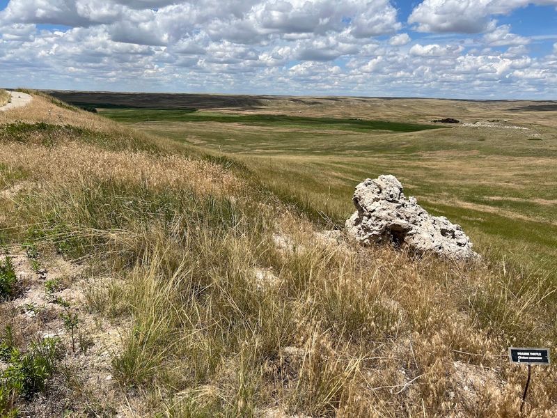 Nebraska's 10 Best Places To Hunt For Agates, Fossils, Petrified Wood, And Other Natural Treasures - Decor Hint Agate Fossil Beds National Monument, Near Harrison