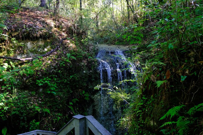 Falling Waters State Park, Chipley