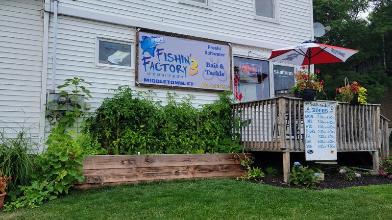 Fishin' Factory 3, Middletown