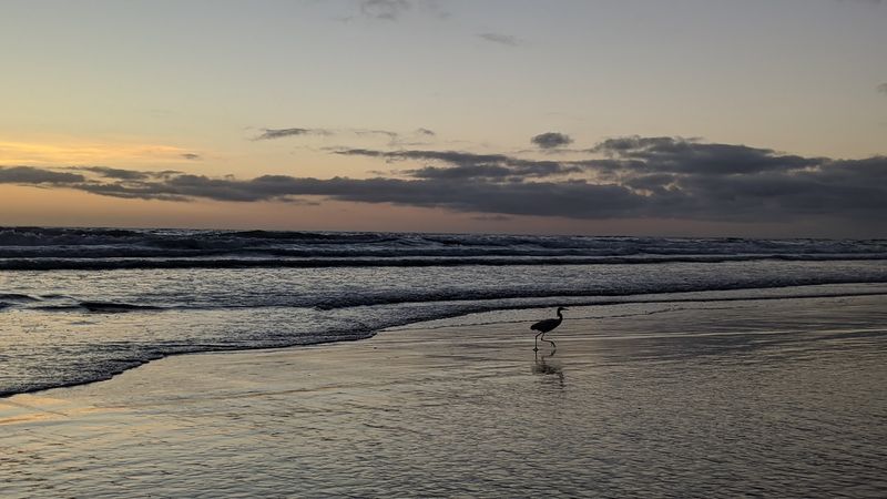 Longer Shoreline Routes Can Be Safer At Low Tide