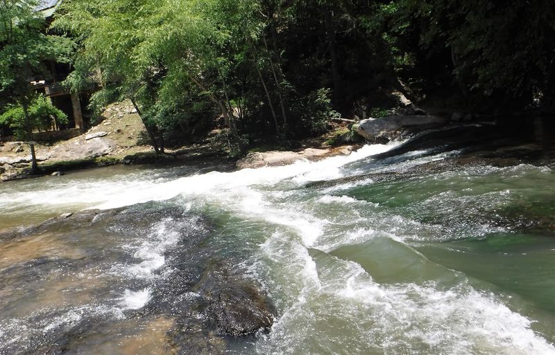 Rapids With Real Names And Real Personality