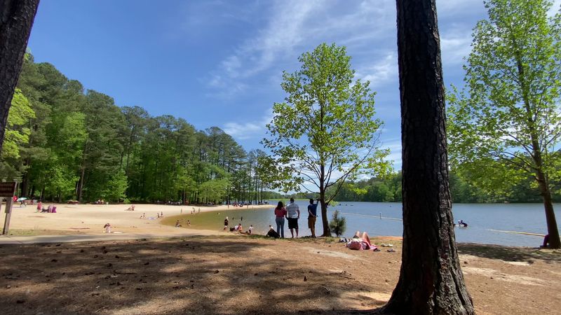 These 13 Dog-Friendly Campgrounds In Georgia You'll Want To Book - Decor Hint Fort Yargo State Park, Winder