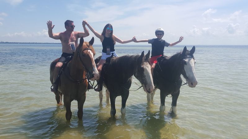 Swimming With Horses: The Standout Experience