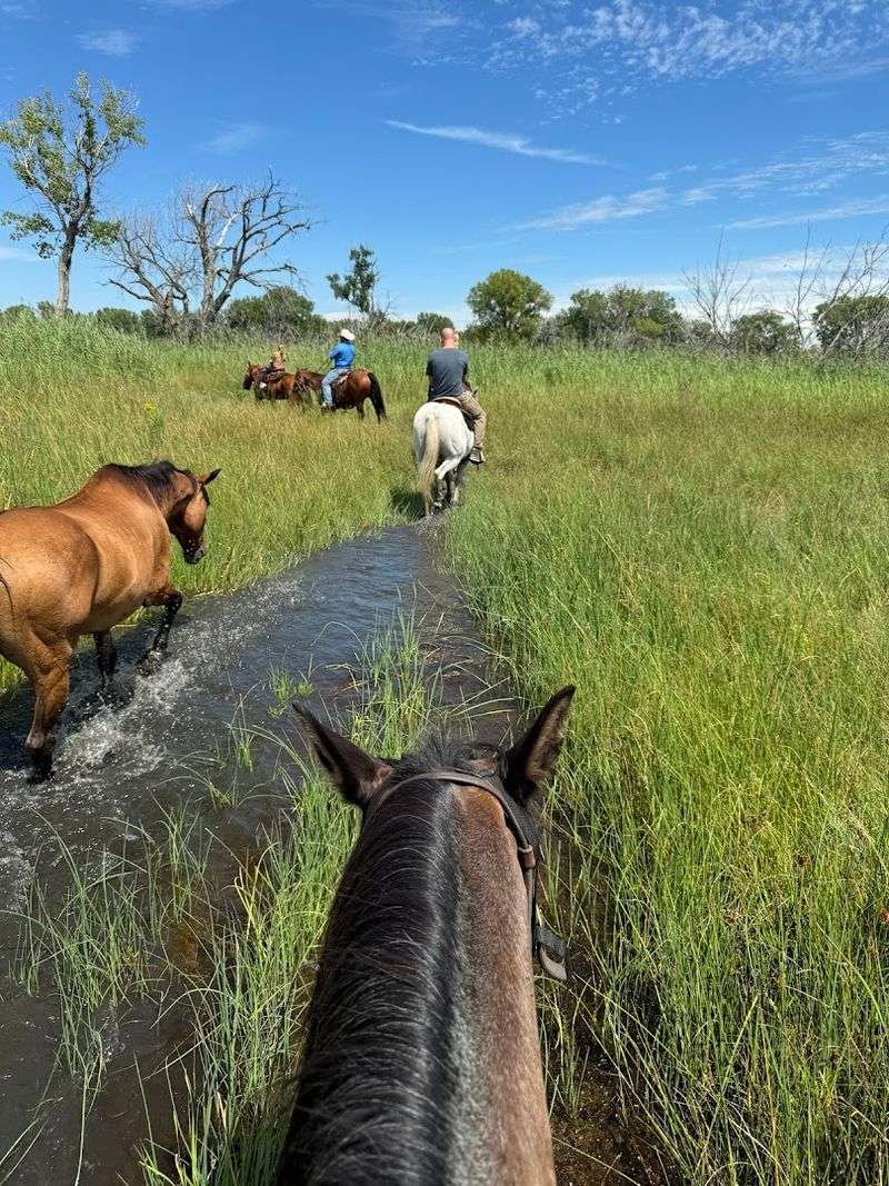 This Nebraska Horseback Adventure Offers The Kind Of Experience That Shifts Your Perspective - Decor Hint Why Nebraska Is The Right Place For This