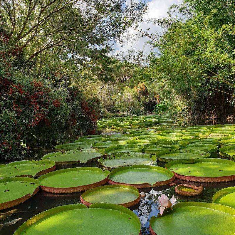 Best Seasons To Plan Your Visit