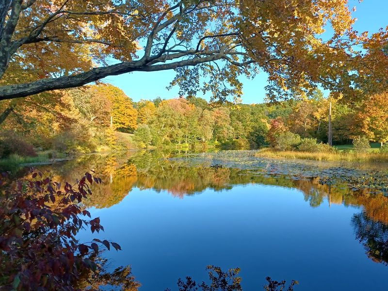 The Mill Pond And The Quiet It Carries