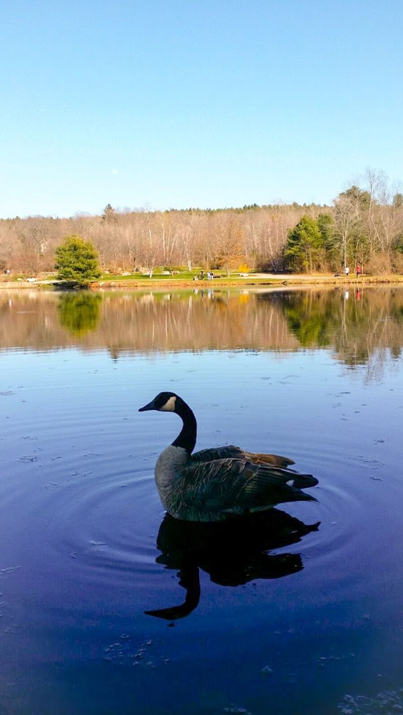 Wildlife Watching All Year Round
