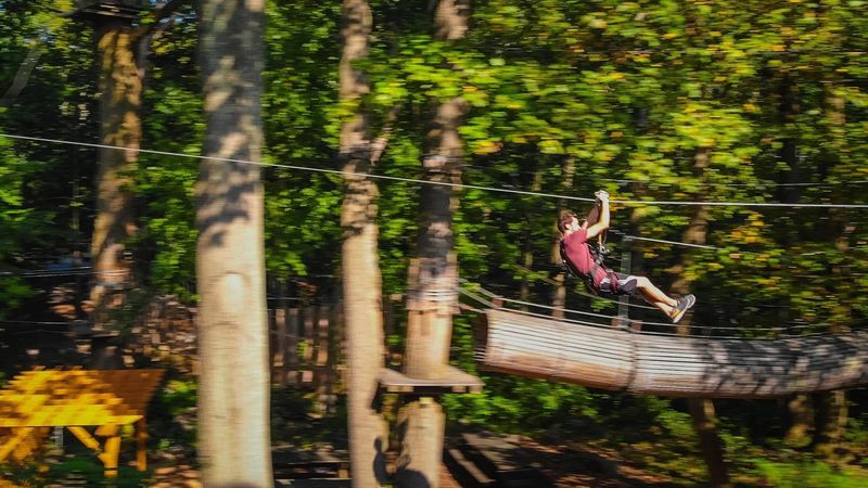 Ultimate Outdoor Adventure Spot In Connecticut Where The Trees Become The Playground - Decor Hint Zip Lines Through The Canopy