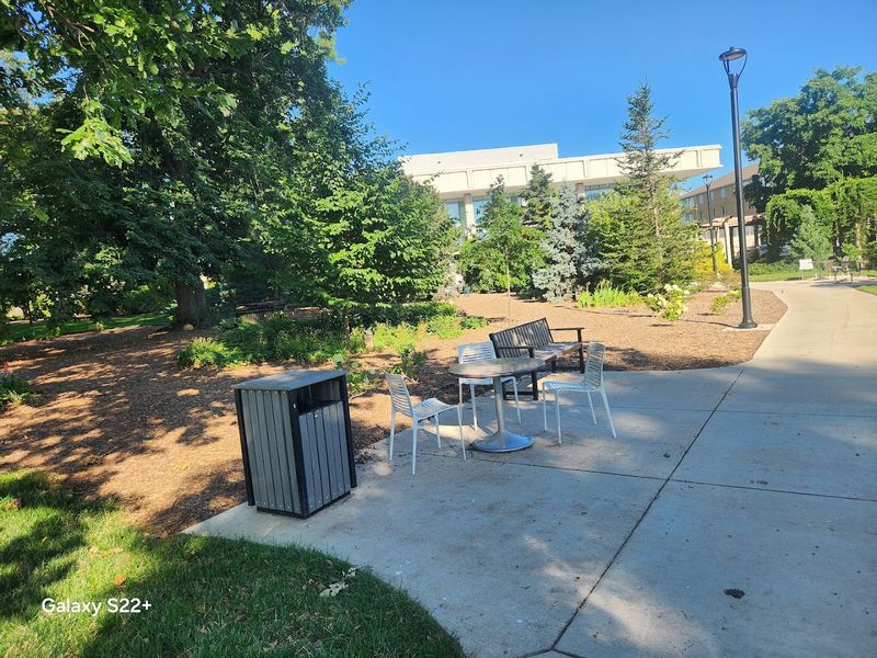 Picnic Tables Make Lunch Beneath The Trees An Easy Plan