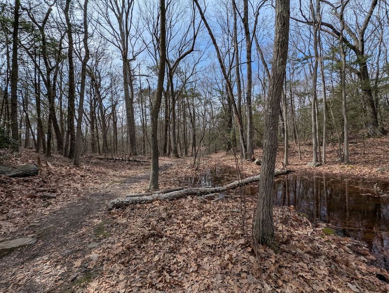 A Short Trail Leads Toward The Rocky Overlook