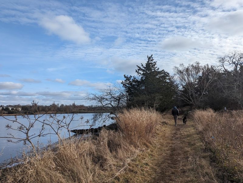 8 Quiet Hiking Trails In Connecticut That Tourists Haven't Discovered Yet - Decor Hint Knox Preserve, Stonington
