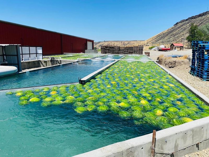 The 12 Best Idaho Food Road Trips Worth Taking This Summer - Decor Hint Buhl To Hagerman Trout Country Route