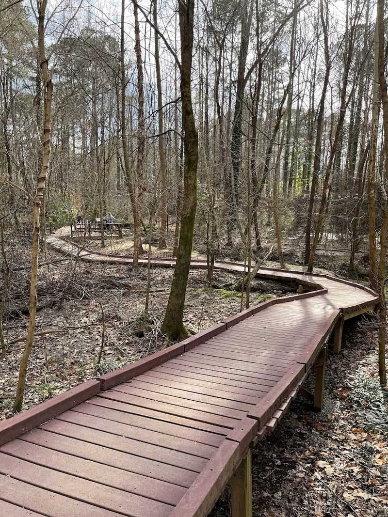 The Wetlands Boardwalk You Did Not Know You Needed