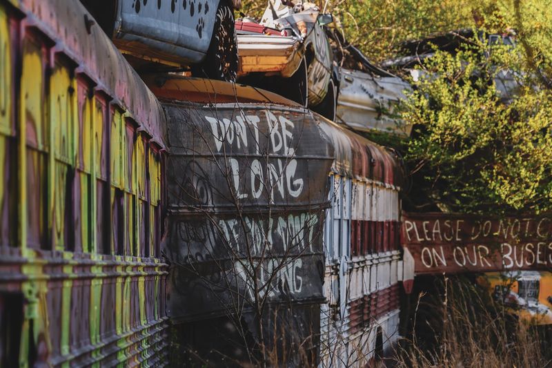 School Bus Graveyard, Alto