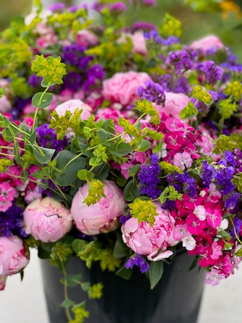 Seasonal Blooms That Change The View Every Few Weeks