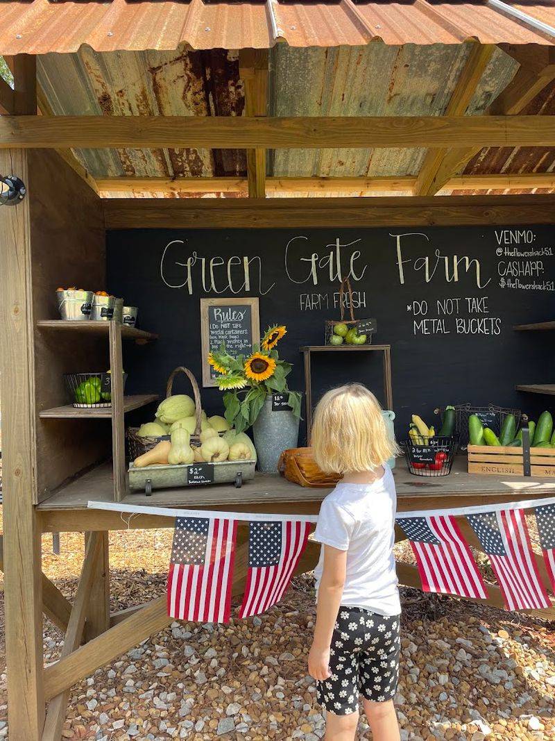 This Charming Georgia Farm Lets You Pick Fresh Flowers, Seasonal Produce, And Pure Country Peace - Decor Hint Seasonal Produce You Can Pick Yourself