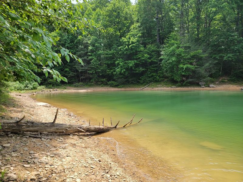 Holly Bay Campground, London