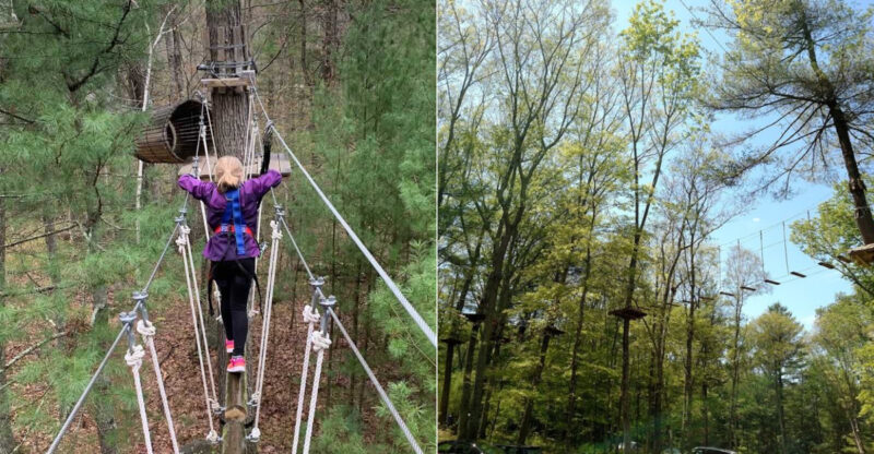 Ultimate Outdoor Adventure Spot In Connecticut Where The Trees Become The Playground