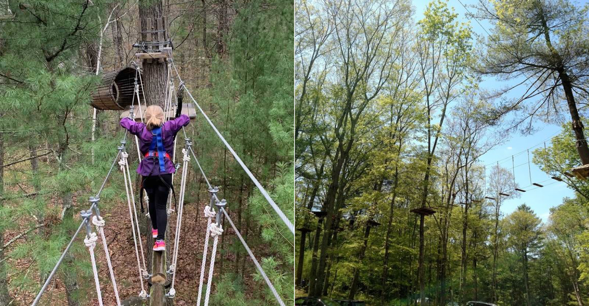 Ultimate Outdoor Adventure Spot In Connecticut Where The Trees Become The Playground - Decor Hint