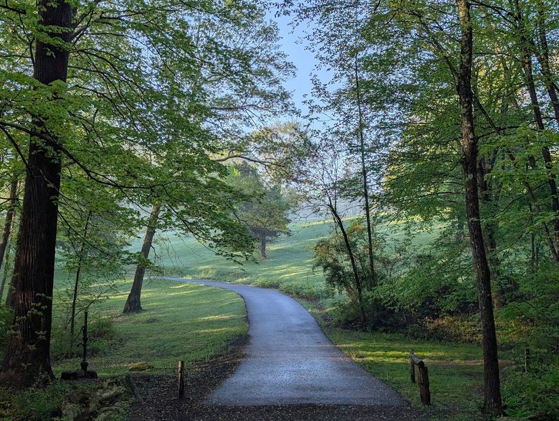 Peaceful Woodland Setting