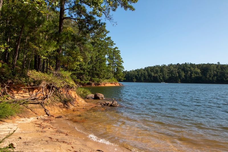 These 13 Georgia State Parks Belong On Your July Bucket List - Decor Hint Red Top Mountain State Park, Acworth