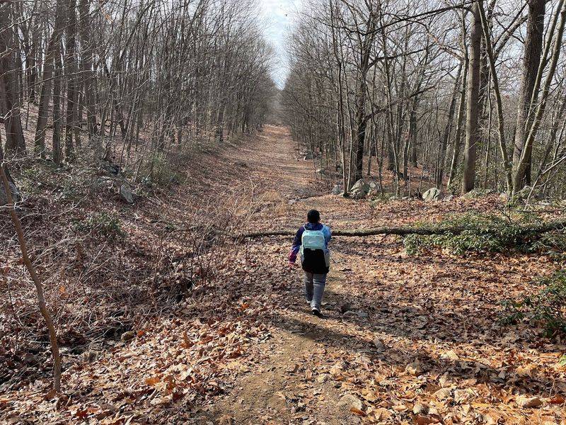 The Return Walk Keeps The Outing Easy And Manageable