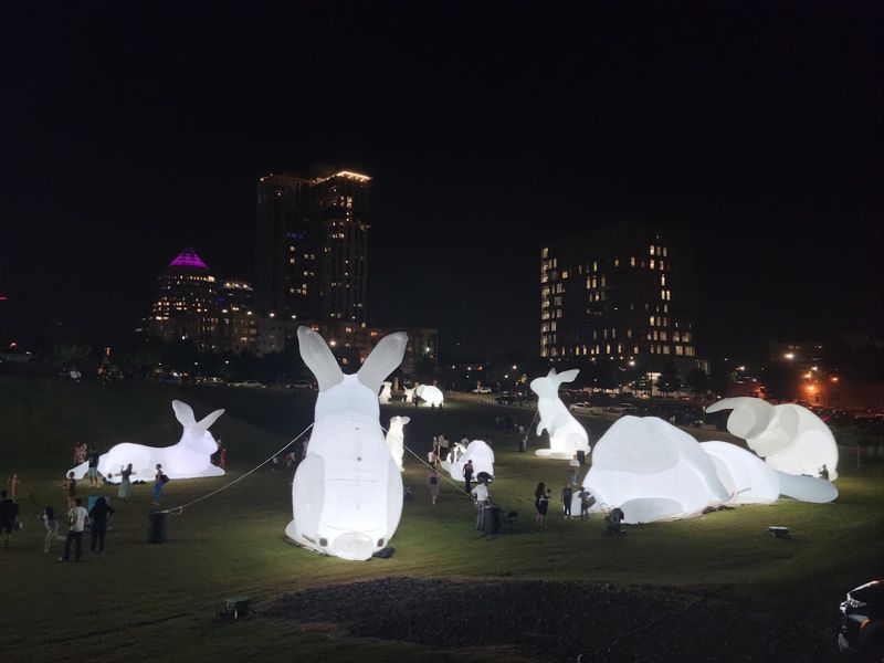 Remembering The Rabbits