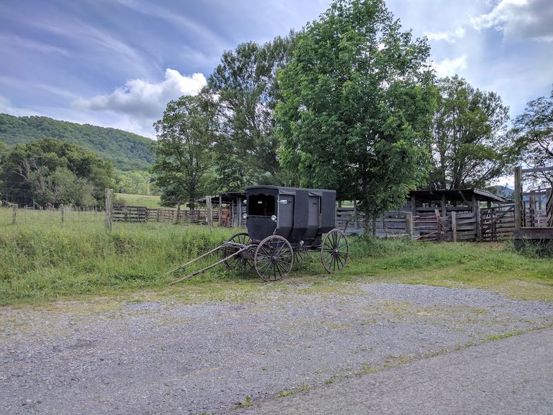 The Amish Community Thriving In The Bowl
