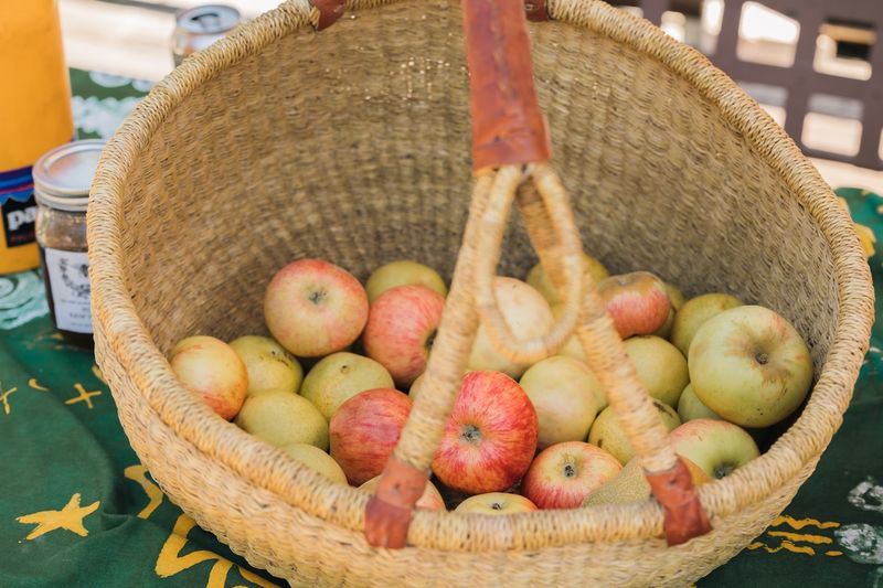 Bring Home Fruit That You Harvested Yourself