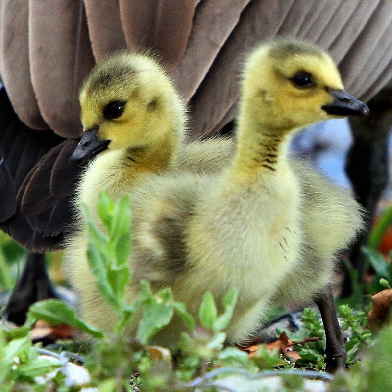 This Underrated Nebraska Park Packs Forest Trails, Wildlife And An Impressive Aquarium Into One Easy Escape - Decor Hint Watch For Deer, Birds And Small Wildlife Along The Trails