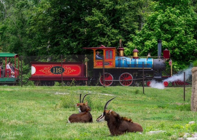 Zoo Admission Is Separate From The Train Fare