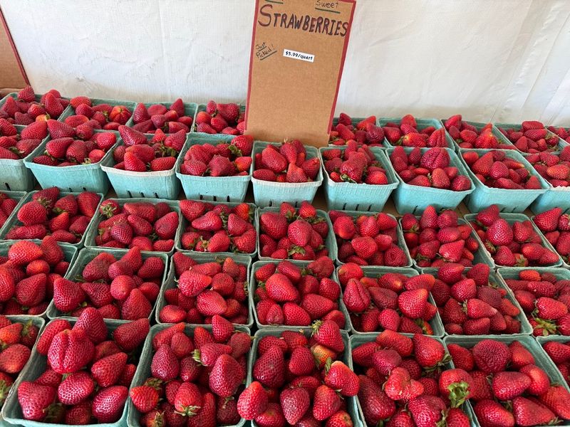 GreenWave Farm Market, Emmett