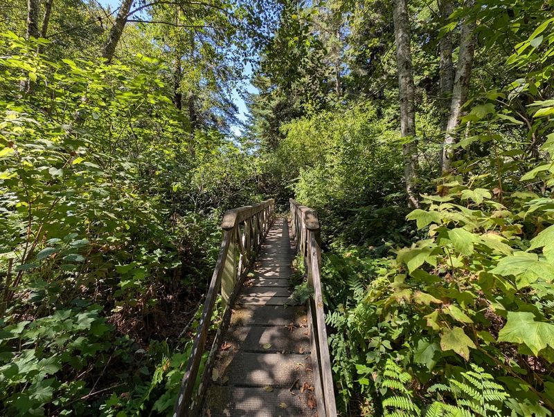 Follow Six Bridges Trail Deeper Into The Canyon