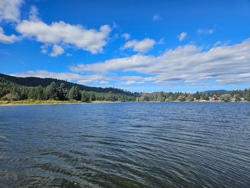 Save Time For The Forested North Idaho Views