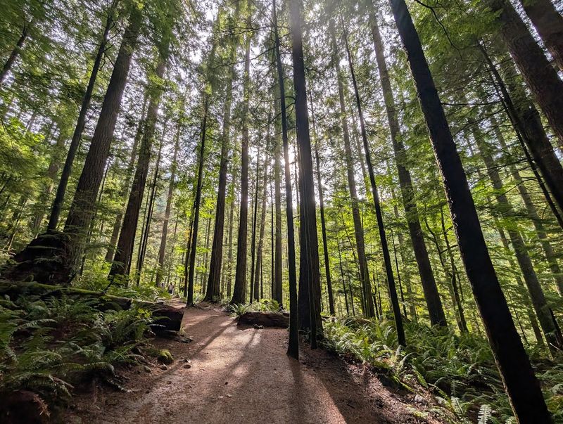 10 Washington Nature Retreats That Feel Peaceful Without The Long Drive - Decor Hint Twin Falls, Olallie State Park, North Bend