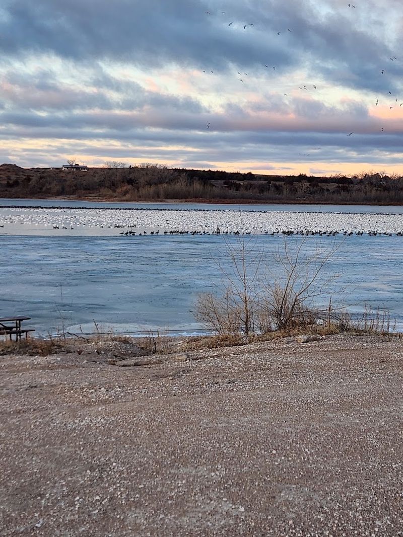 Wildlife Refuge Land Brings Birds Close To Shore