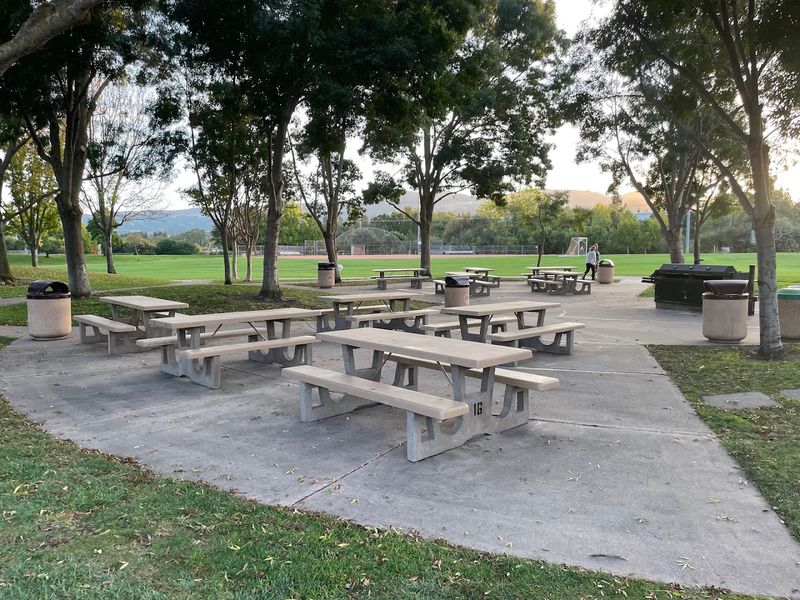 This 32-Mile Northern California Bike Trail Follows An Old Railroad Through Six Parks And Five Downtowns - Decor Hint San Ramon Central Park Breaks Up The Ride
