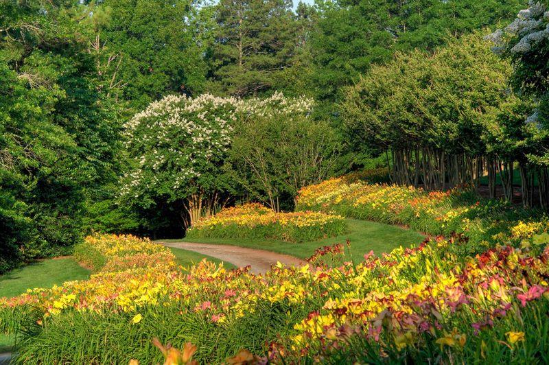 Explore Thousands Of Seasonal Blooms In Le Jardin Color Garden