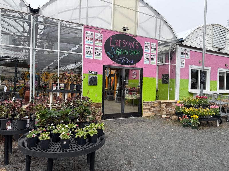 Larson's Garden Center, Burlington