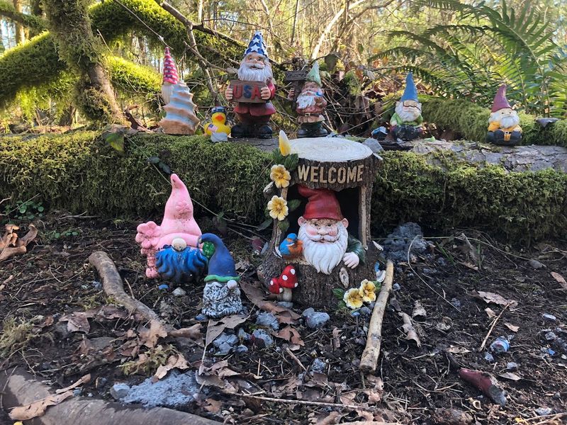 Washington's Most Enchanting Hidden Gnome Trail Will Spark Your Inner Child - Decor Hint A Forest Full Of Gnomes Waiting To Be Found