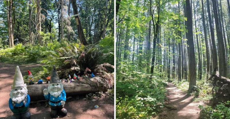 Washington’s Most Enchanting Hidden Gnome Trail Will Spark Your Inner Child