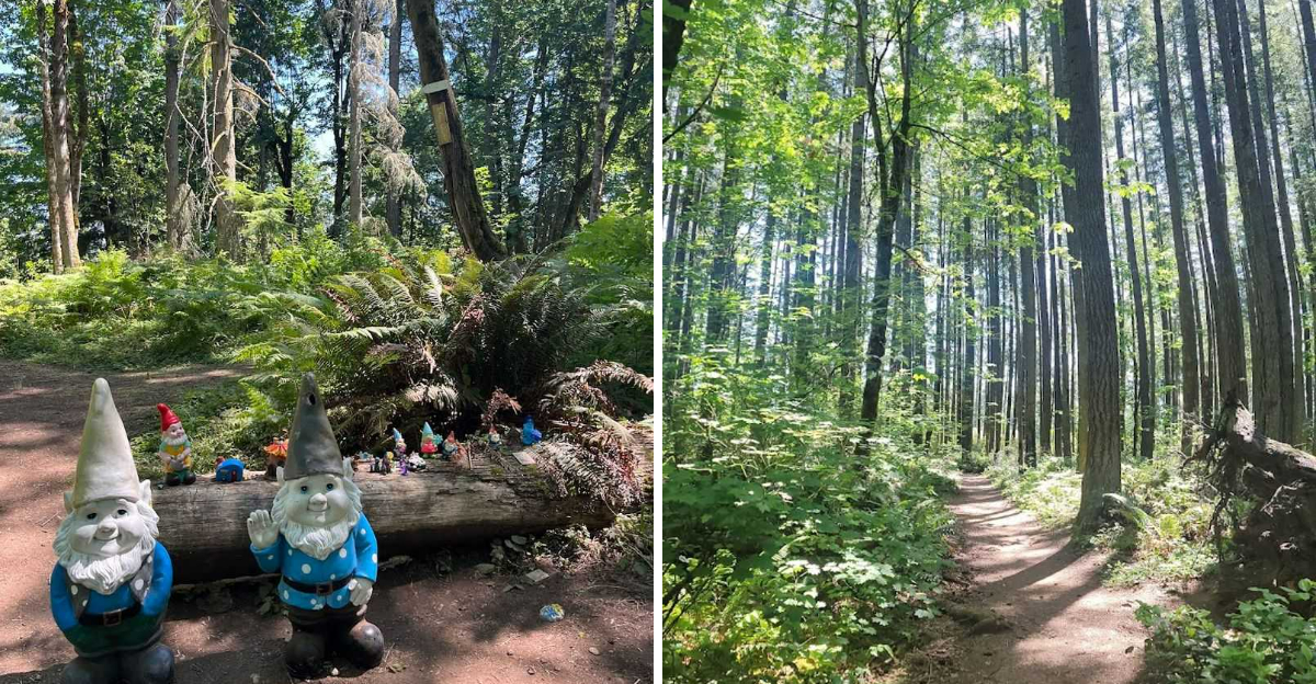 Washingtons Most Enchanting Hidden Gnome Trail Will Spark Your Inner Child - Decor Hint