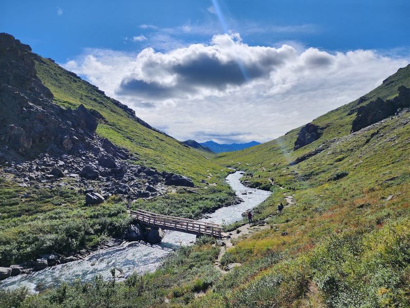 Take The Wilderness Bus Deep Into Denali National Park